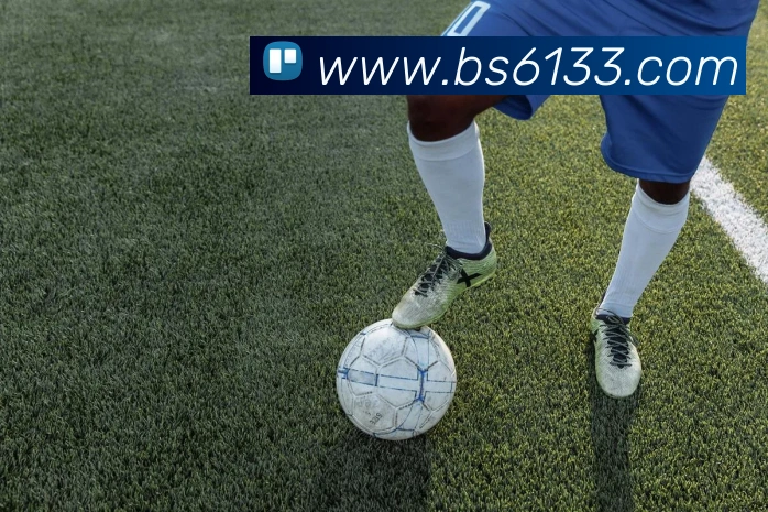 百胜彩票官网平台登录入口发展历程